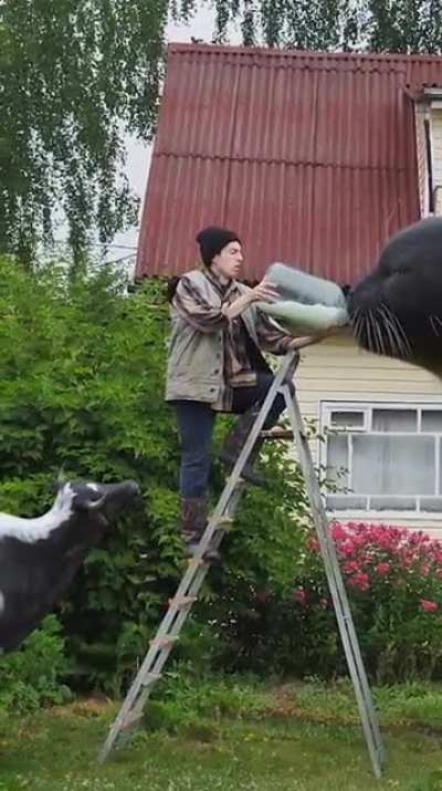 Hmmm