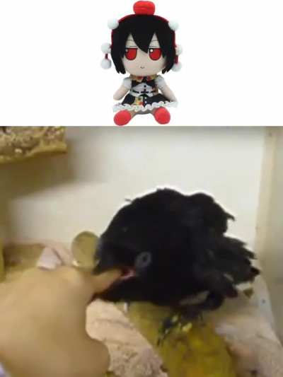 🐦&zwj;⬛