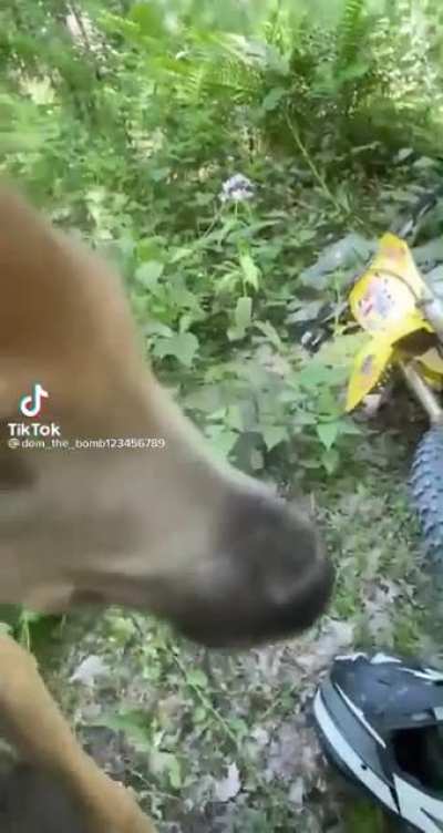 &Euml;mmm&egrave;&egrave;&egrave;h