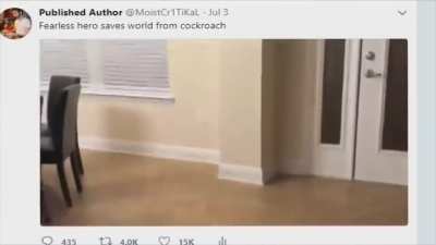 Penguinz0 vs Cockroach