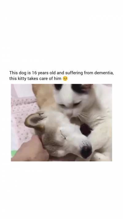 So much compassion 