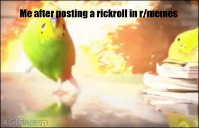 Not a repost, this took time