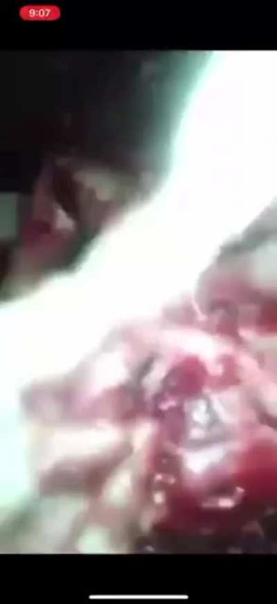 Участники наркокартеля играют с головой трупа