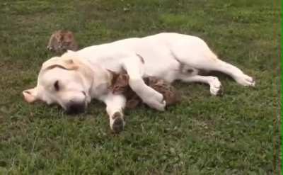 &ldquo;Dis my spot now!&rdquo;