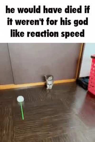 wunk speed