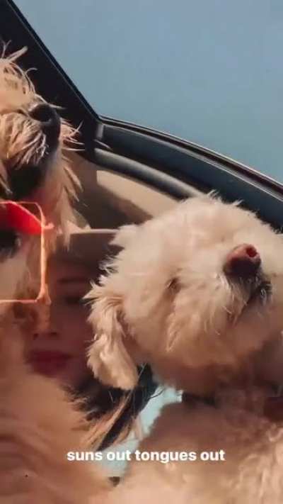 With the puppers.