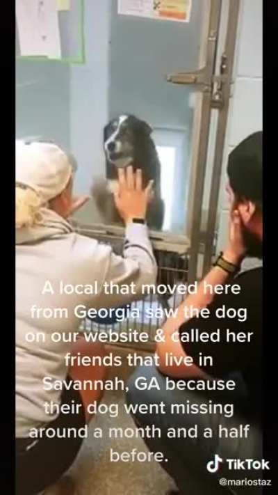 I&rsquo;m not crying, you&rsquo;re crying...
