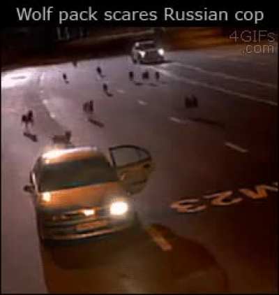Эти смешанные чувства...