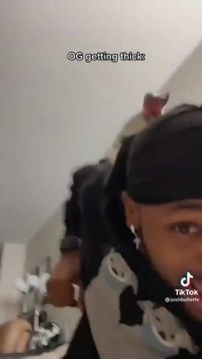 Man assaults dog - Dog: &ldquo;&hellip;and I took that personally&rdquo;