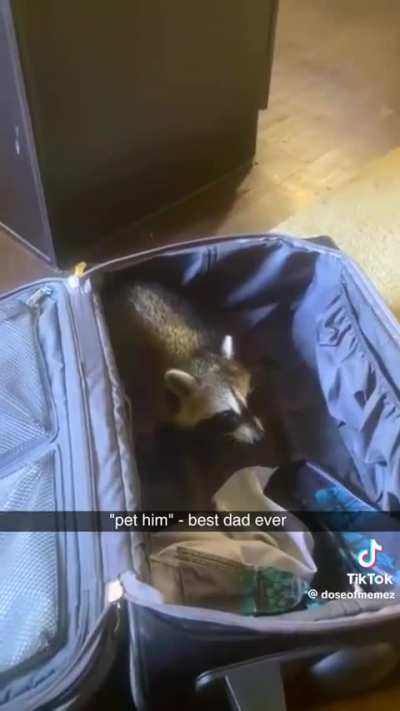 Go on, pet it again