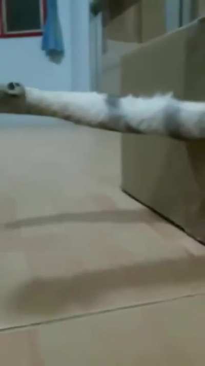 hmmm