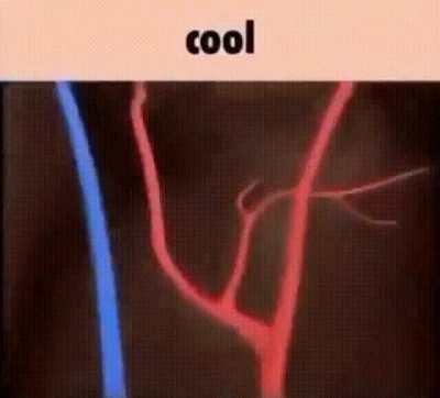 cool