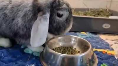 This is her 5th meal today