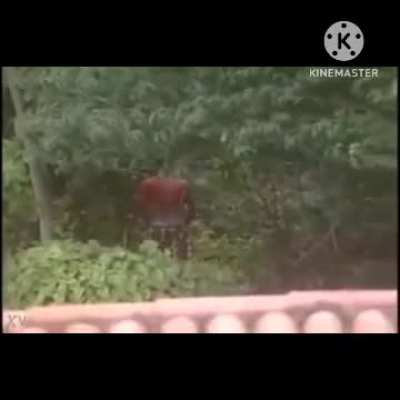 V&iacute;deo que o luan sempre fala quando tem chance 
