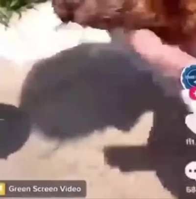 cursed_washer