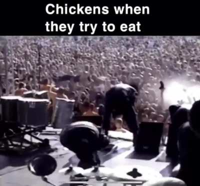 Chicken go donk