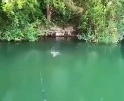Рыбалка успокаивает нервы