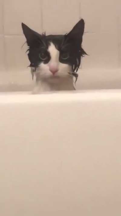 Ohh he is definitely plotting a revenge 😅😂
