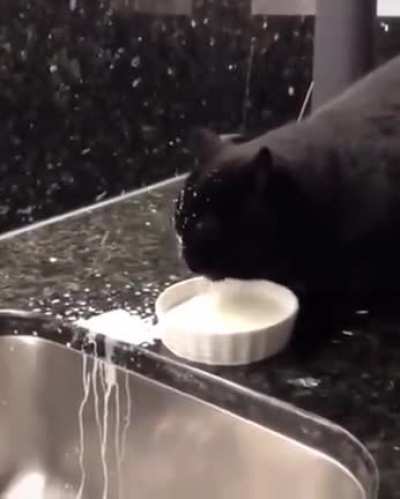 Forgot how to cat