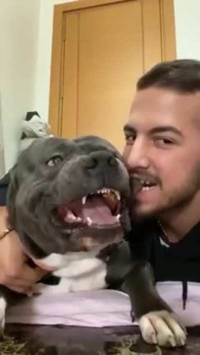 Compilation: My Dog Versus Me