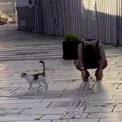 Make fun with his master.. naughty cat