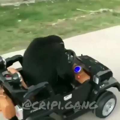 Oiga mi reina l&aacute;vese las pata