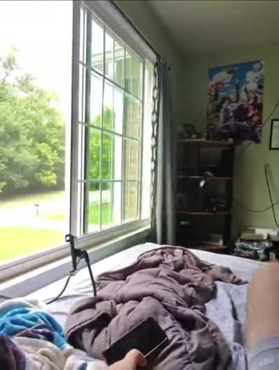 This is what a perfect day looks like