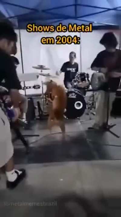 Shows undergronds s&atilde;o bons demais