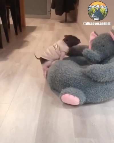 When it&rsquo;s worth the effort