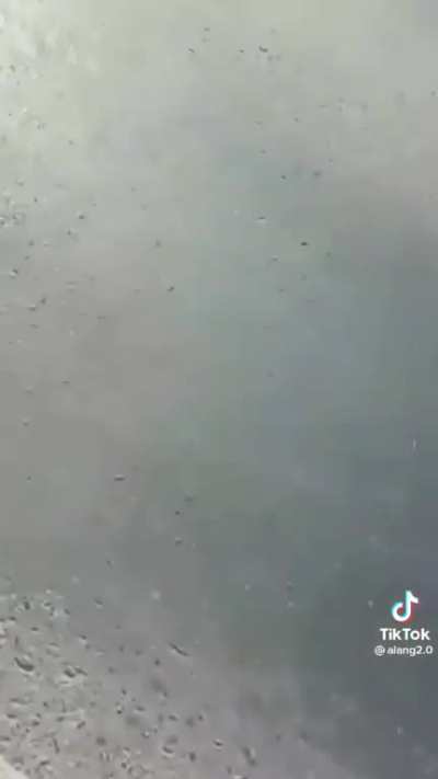 Schapiramanuk - Video #0319