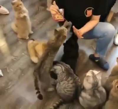 &ldquo;Give me Please! i'am over here&rdquo;