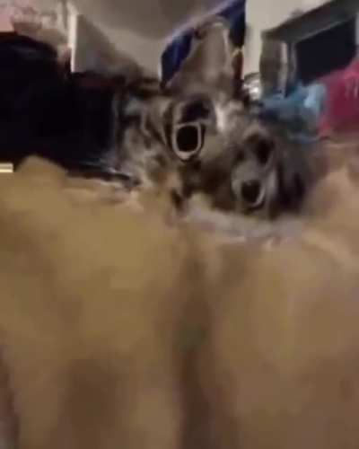 0.o