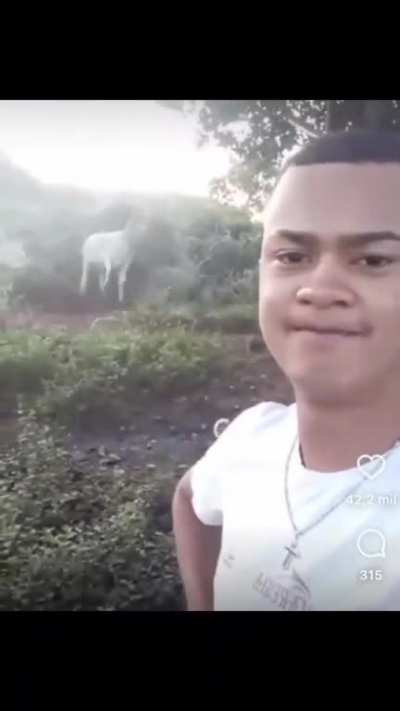 Why bro scream like that?