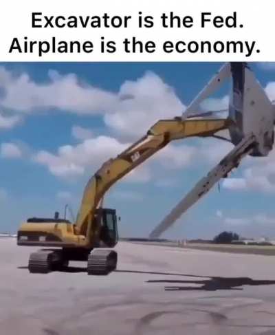 Bears waiting for the plane to crash