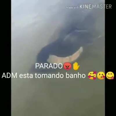 Sil&ecirc;ncio 😡😠✋✋🏽✋🏽 o adm esta dormindo 🥱🥱