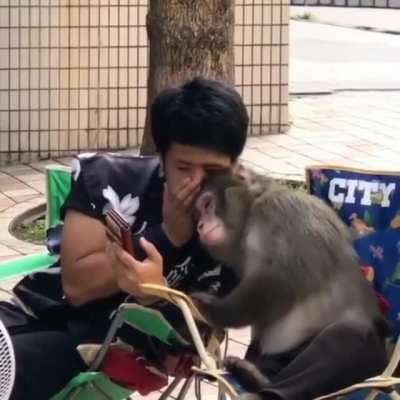 I wonder what they’re talking about.