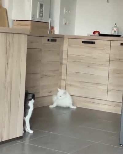 &ldquo;You have no idea what I&rsquo;ve just been through!&rdquo;