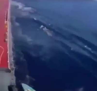 Pirates trying to do pirate stuff...