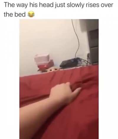 Jumpscare
