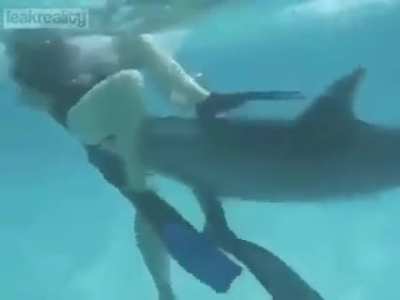 Bad Dolphin
