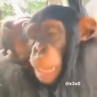 Monke has feelings too