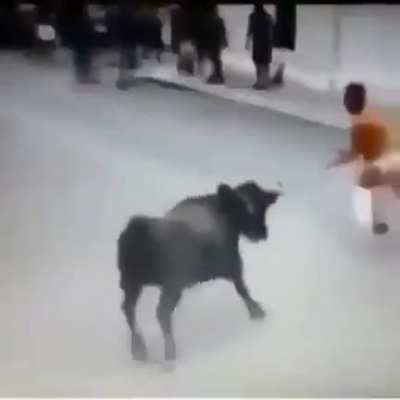The bull said &ldquo;I was just playing, but fuck it that&rsquo;s what you get"