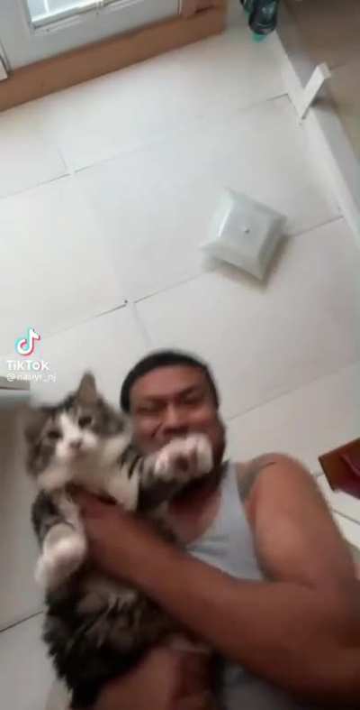 Wow that cat can really head bang