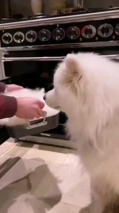 Kitchen magic.