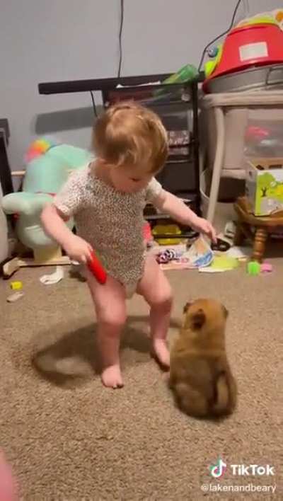 Musical awoo!