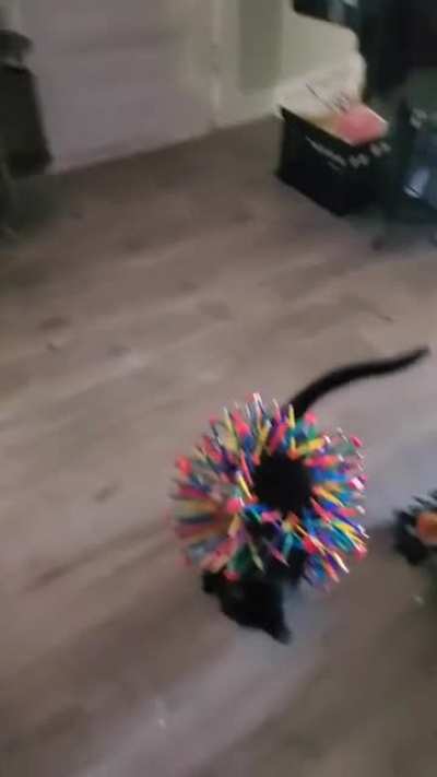 Mistakes were made