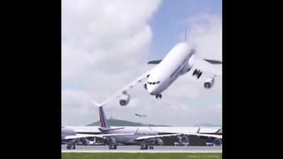 It&rsquo;s not just people who are scared of flying!