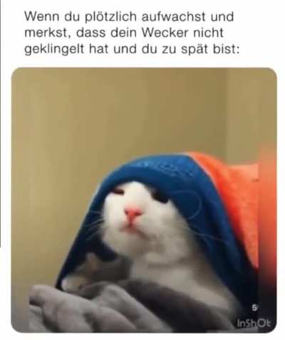 ich_iel
