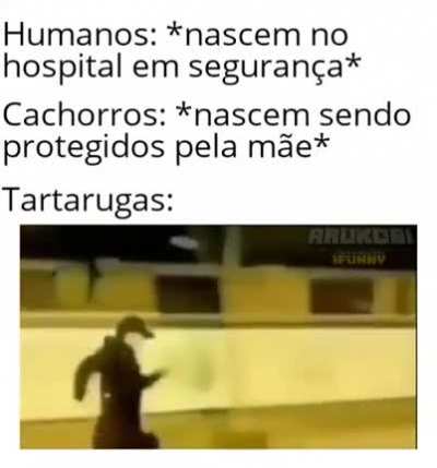 Coooo&eacute; chat, anima ai