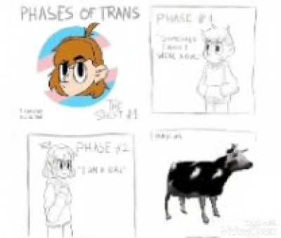 Cow